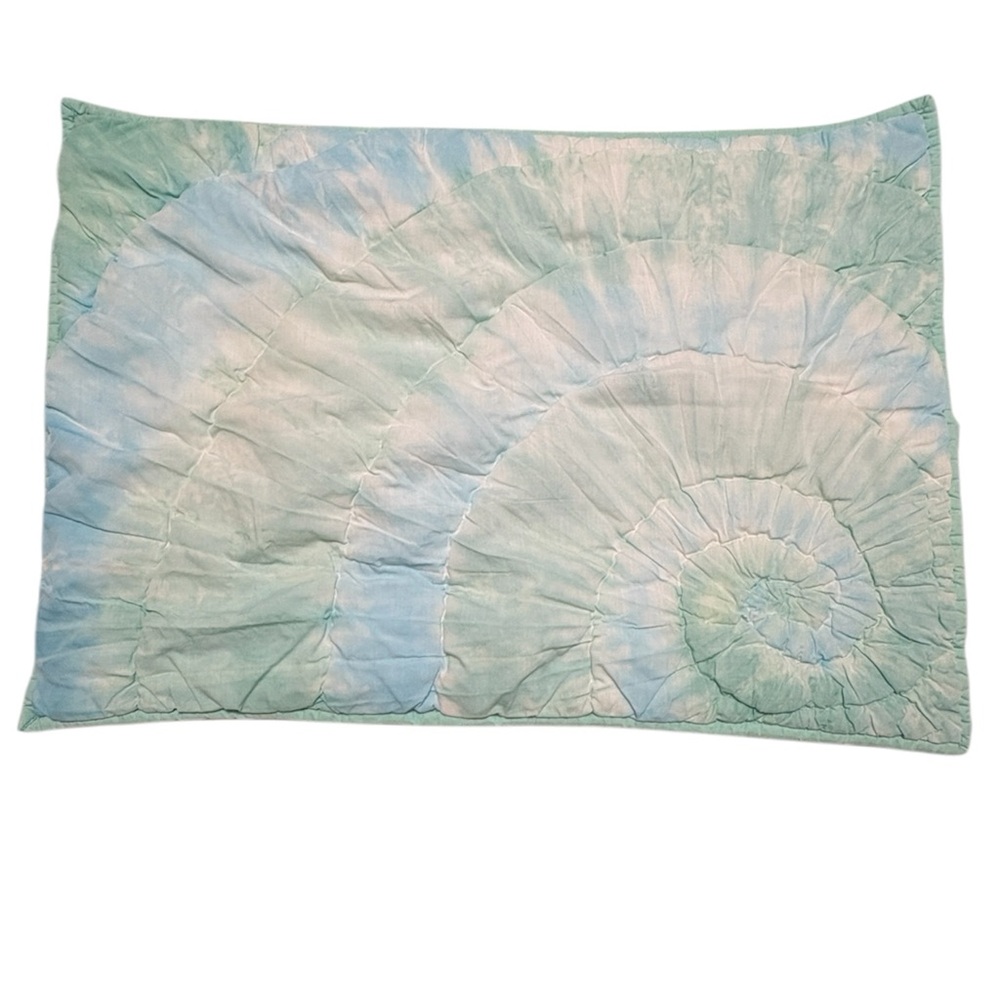 Pottery Barn Teen Aqua Blue Quilted Sham Swirl Cotton Pillow Cover 26x18